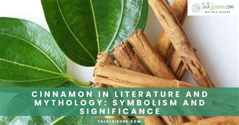 Cinnamon for Purification: Cleansing Rituals and Spells
